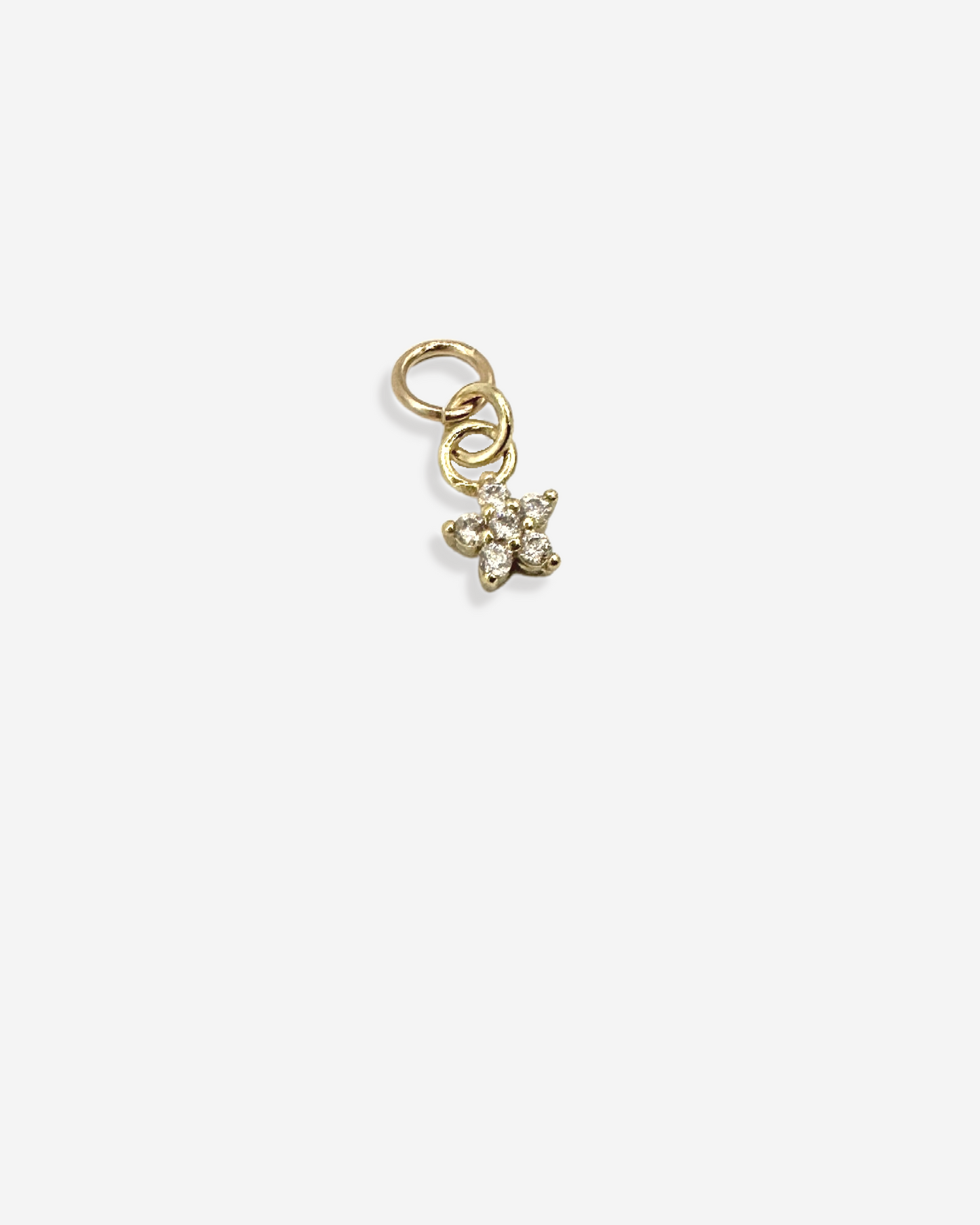 GOLDIE | Blossom Hoop Charm