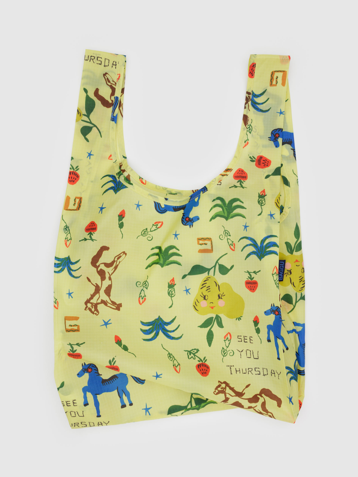Standard Baggu | Painted Prairie