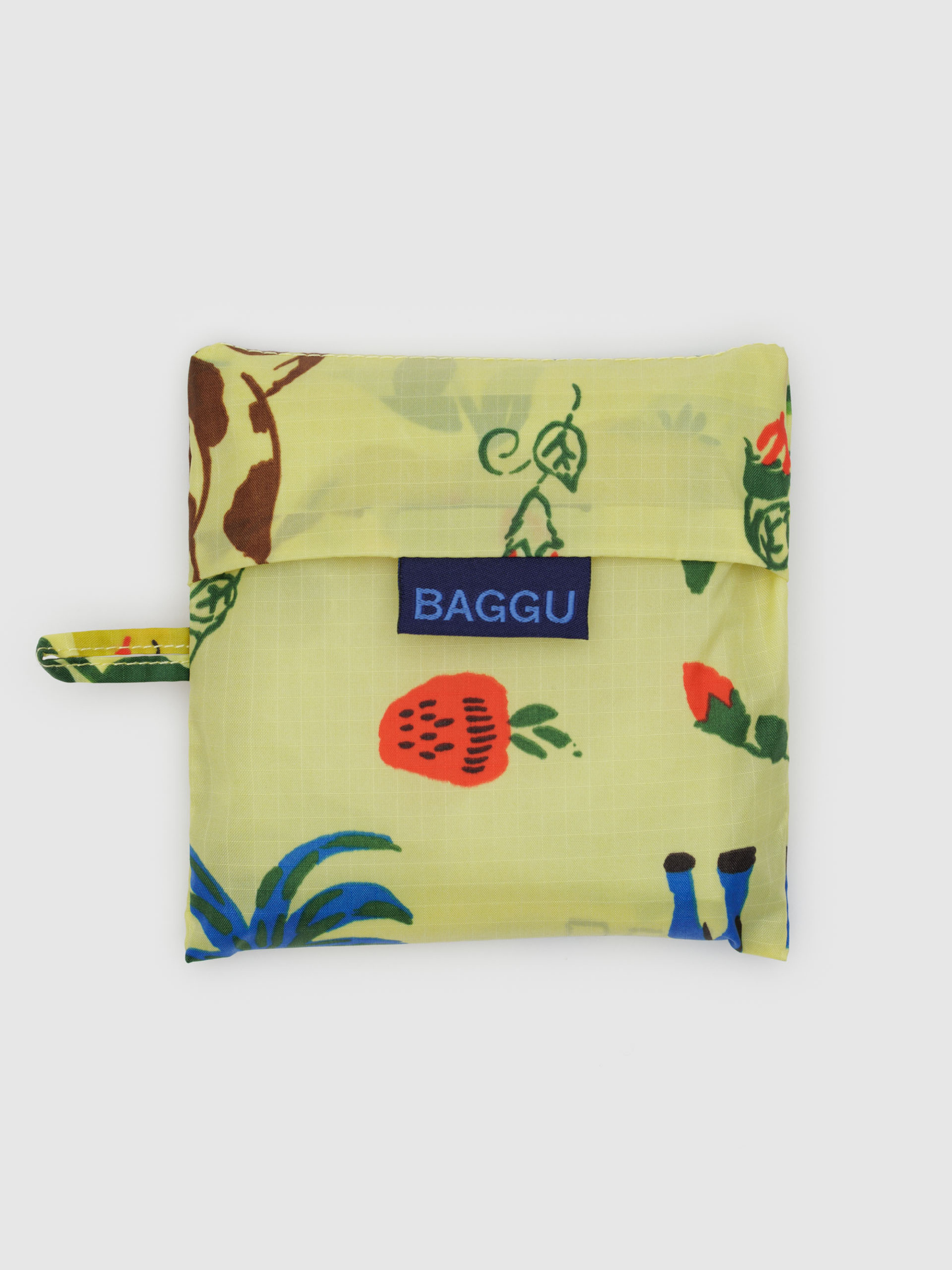 Standard Baggu | Painted Prairie