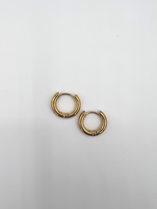 025 | everyday huggie hoops
