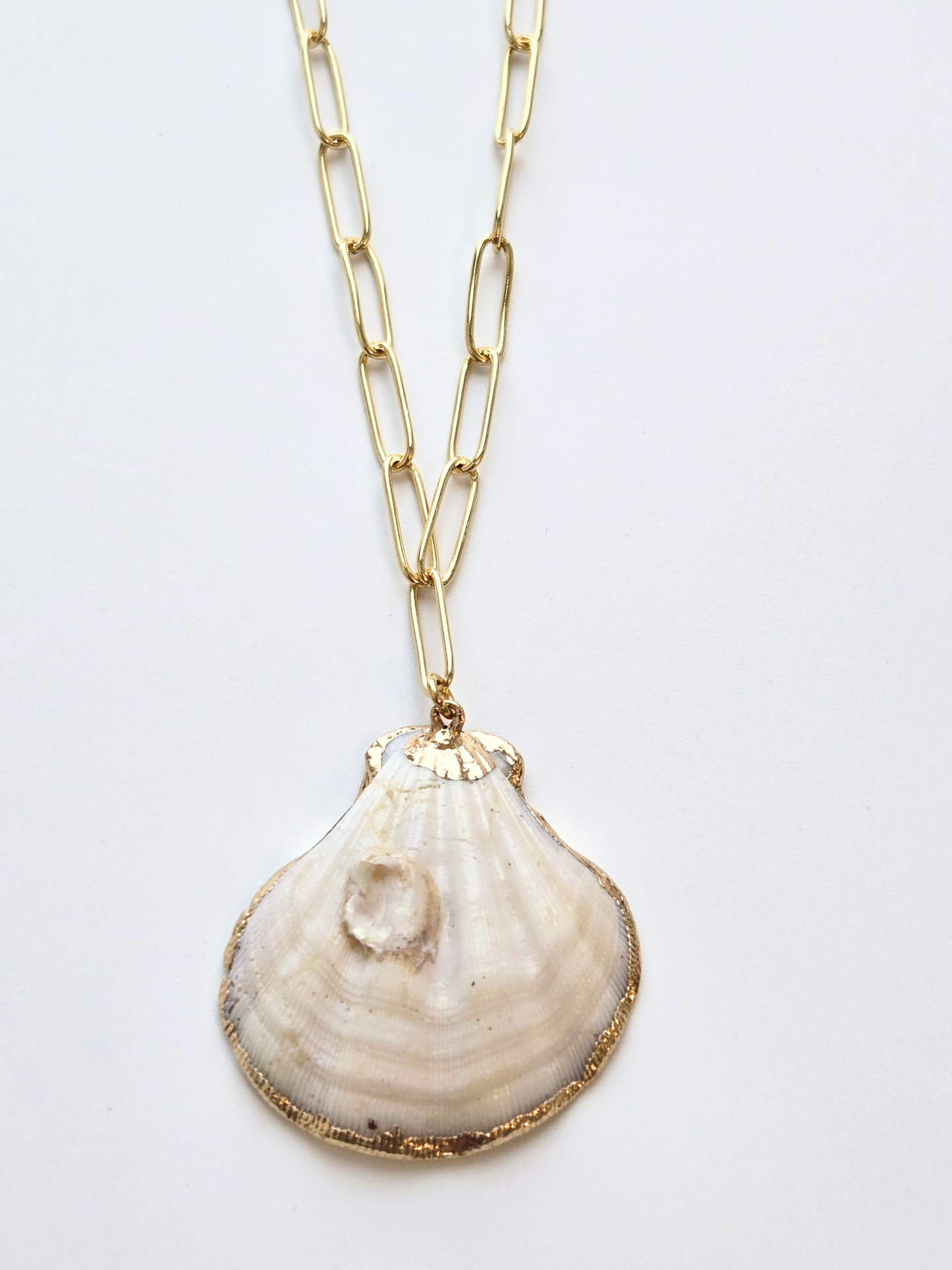 069 | scallop shell necklace
