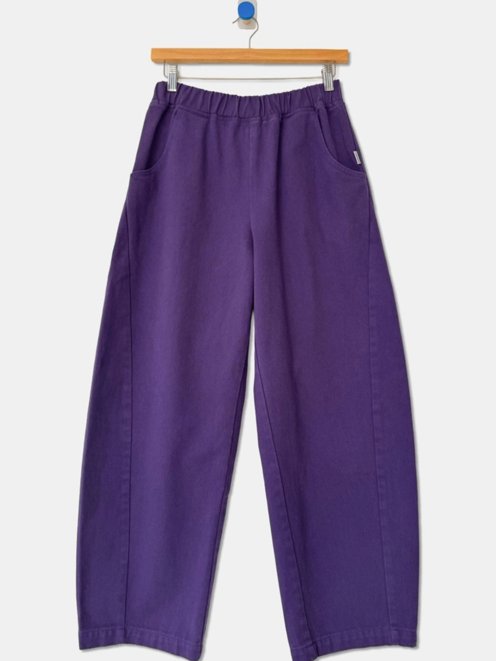 Arc Pants Eggplant