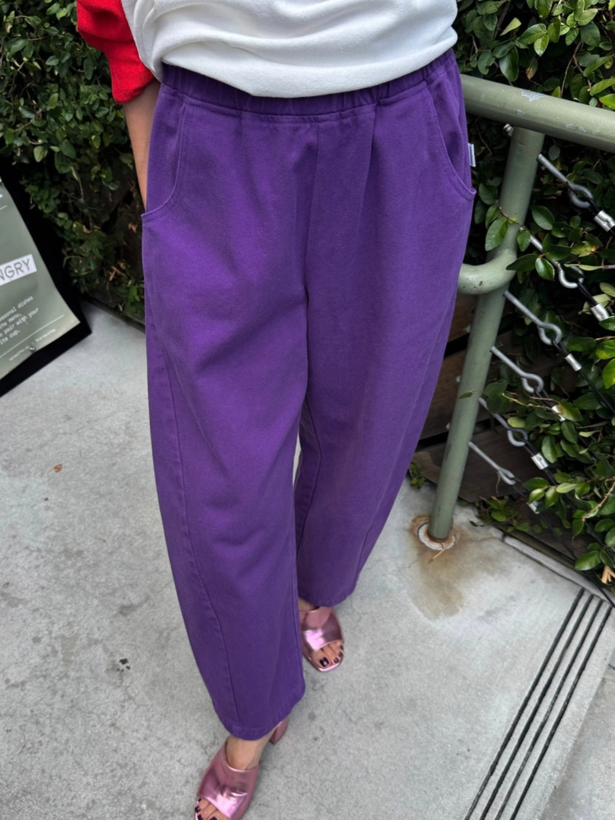 Arc Pants Eggplant