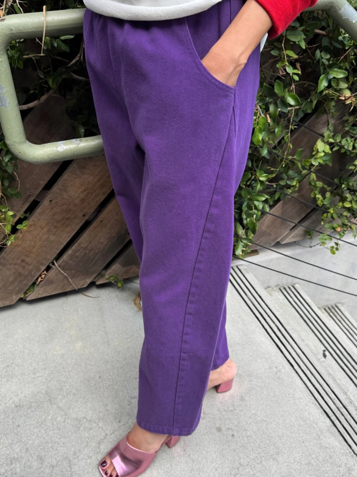 Arc Pants Eggplant