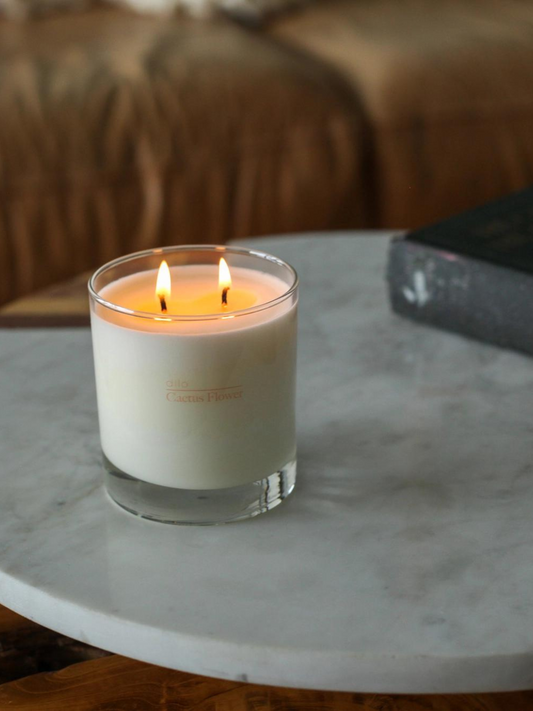 Dilo Candle - Cactus Flower