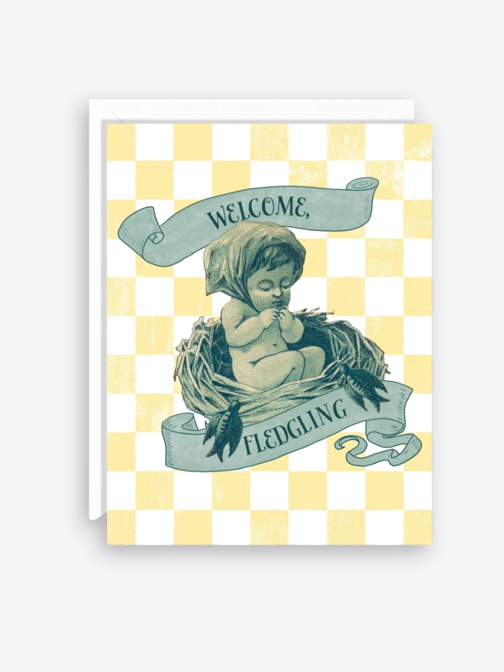 Welcome, Fledgling Baby Card