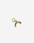 GOLDIE | Rainbow Hoop Charm