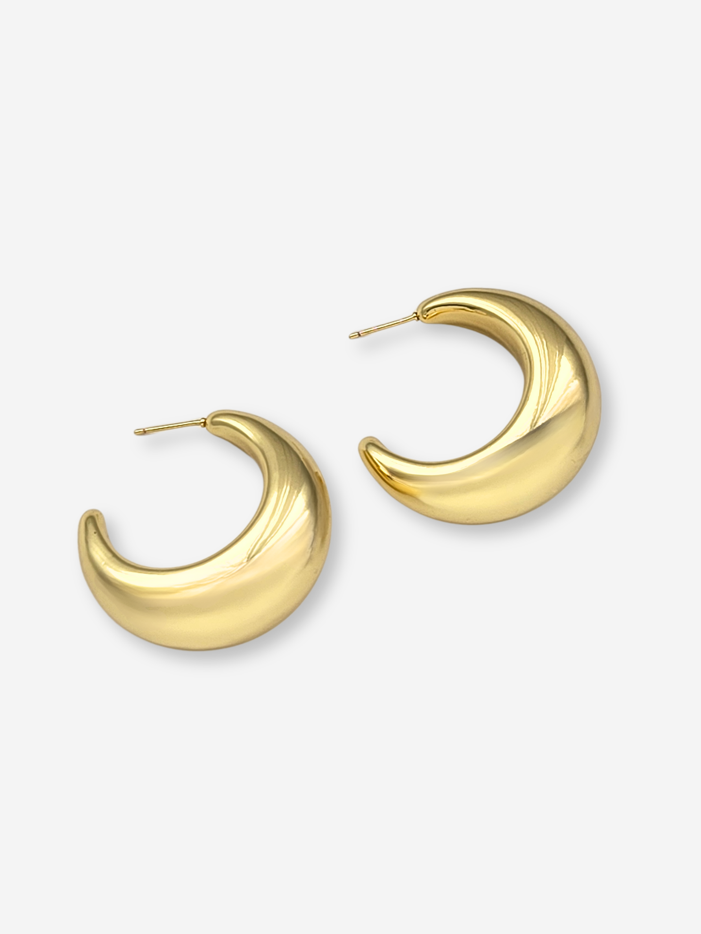 Gwyn Hoops