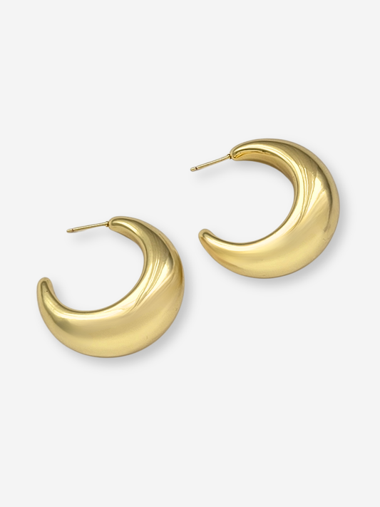 Gwyn Hoops