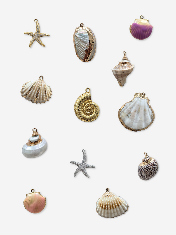 BIJOU BODEGA | Large Seashell Charms